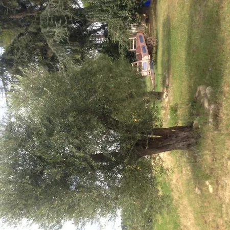 Bauernhof Agriturismo Bonfigli *