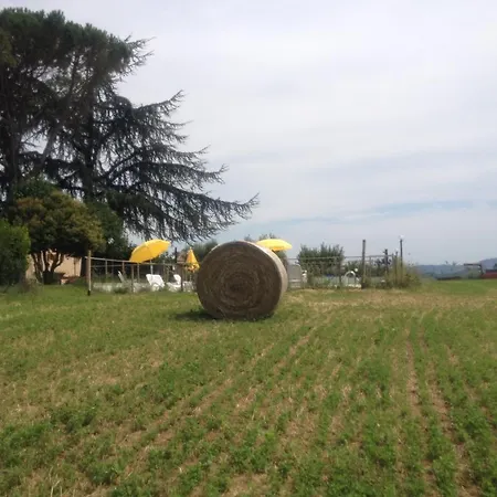 Agriturismo Bonfigli *