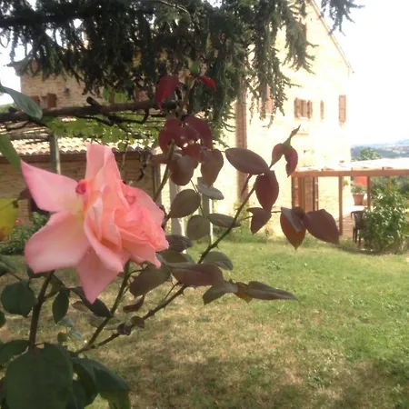 Agriturismo Bonfigli Falerone