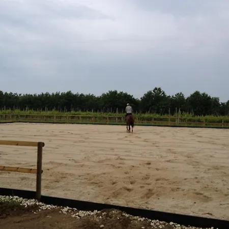 Agriturismo Bonfigli