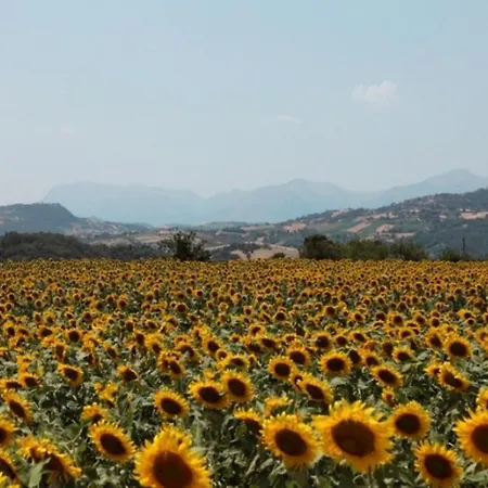 Bauernhof Agriturismo Bonfigli