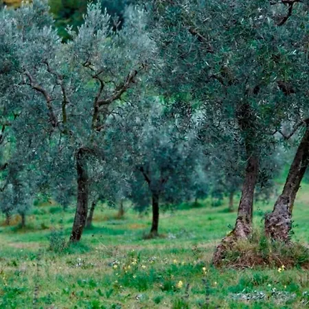Agriturismo Bonfigli Bauernhof Falerone